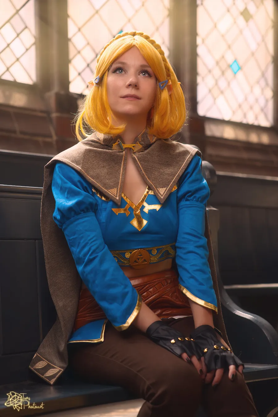 Princess Zelda (The Legend of Zelda: Breath of the Wild)